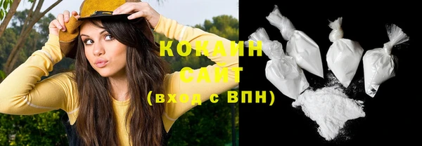 стаф Горнозаводск