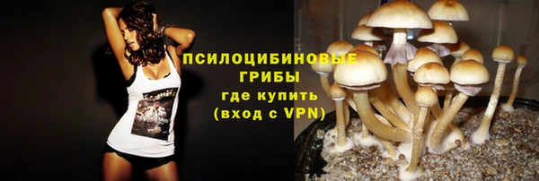 прущая мука Горно-Алтайск