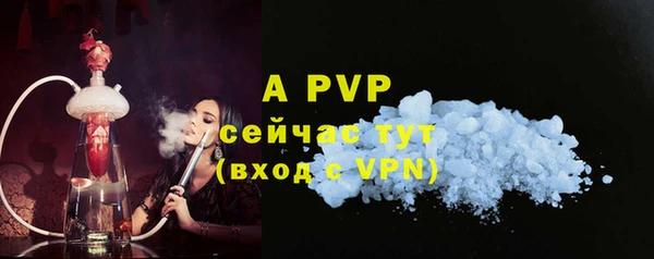 стаф Горнозаводск
