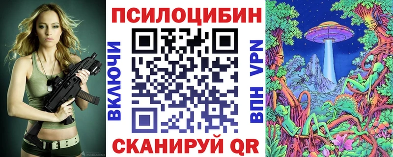 продажа наркотиков  Цоци-Юрт  Псилоцибиновые грибы Magic Shrooms 